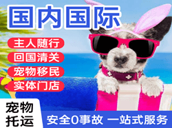 霍林河机场物流国际宠物托运 【国